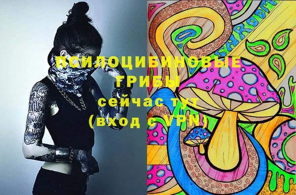трава Зеленодольск