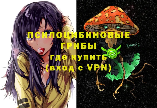 трава Зеленодольск
