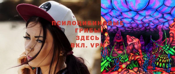 трава Зеленодольск
