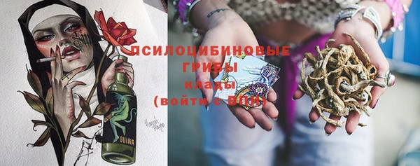 дживик Заволжск