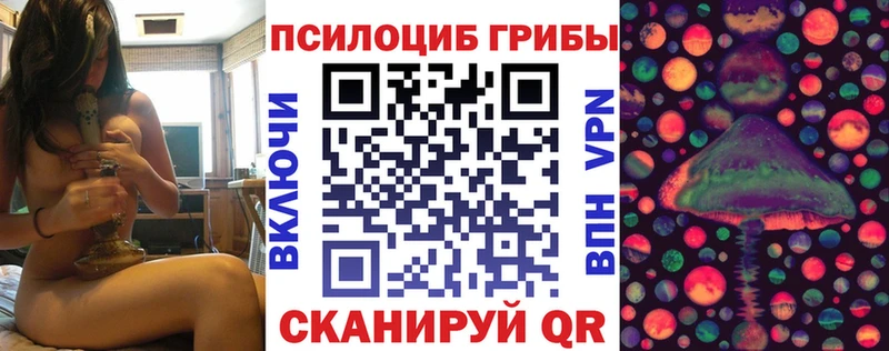 Купить  Карталы  Псилоцибиновые грибы GOLDEN TEACHER